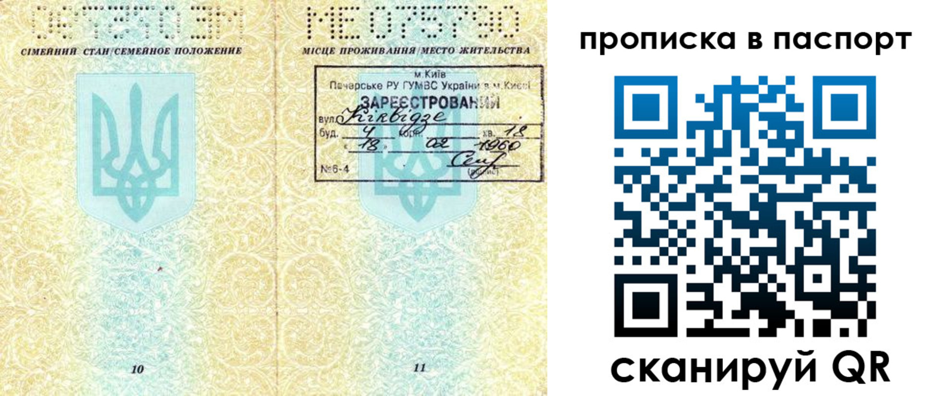 прописка паспорт в Похвистнево